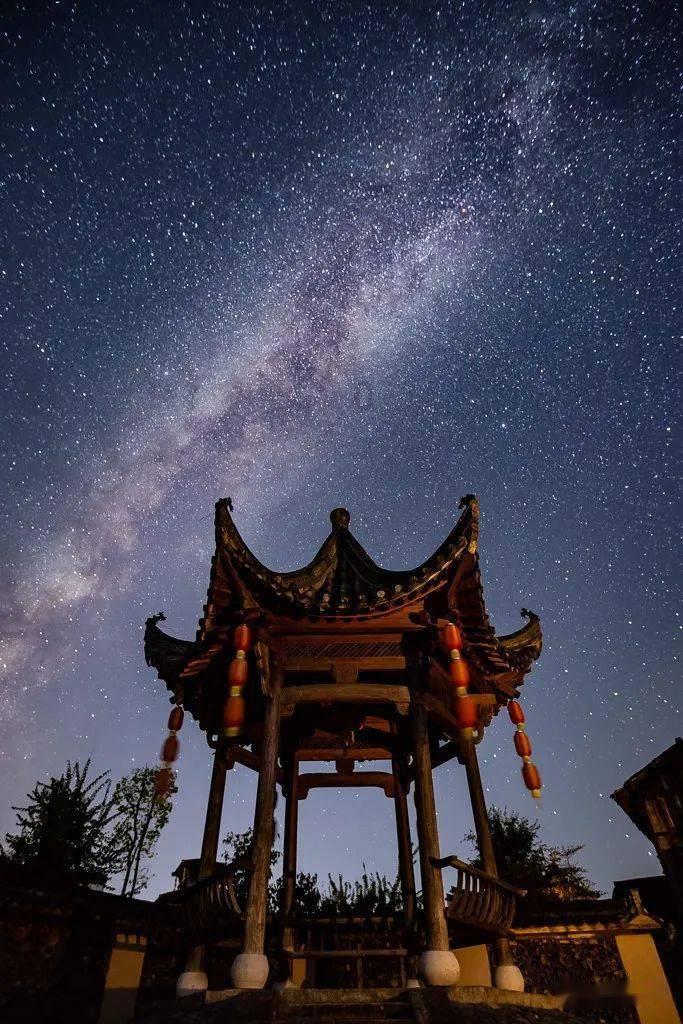 蝴蝶领结